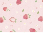 PastelxDonuts