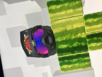 Watermelon sharks hq