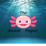 The Axolotl Project