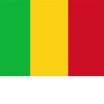 mali armed forces