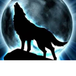 {Wolf Army}