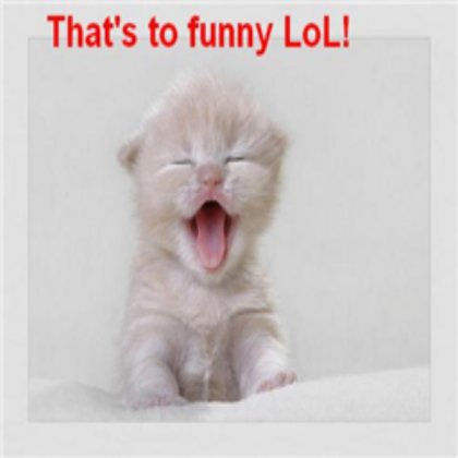Kitty sayz thats to funny lol Roblox decal