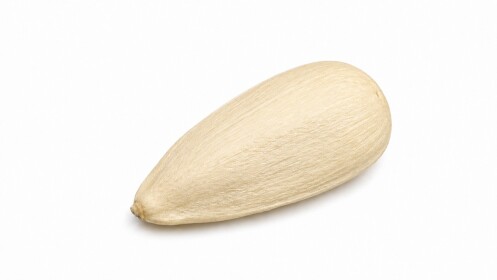 Be A Seed?