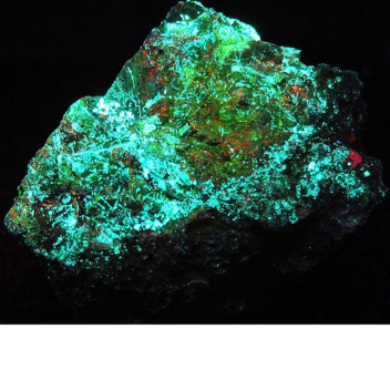 (Halloween Updates with new map) Ore Tycoon