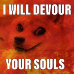 The Kingdom of the Doge cult