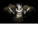 The Flying Pirates