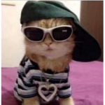 NawfSide Dollz