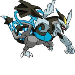 Team Zektyl