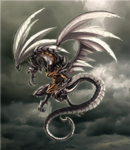 black dragon assassins