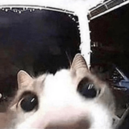 Unusual place