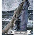 Early Whale