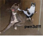 pwn like a boss
