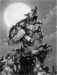 werewolf knight's