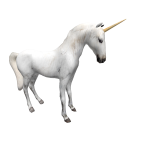 Unicorn on Head