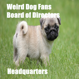 Weird dog fans Meeting Office [REALLY OLD VERSION]
