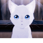 coolboy22661