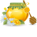 ~The Honey Group!~