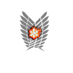 24th Airborne Platoon