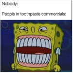 Meme Everyday