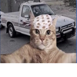 !sam
