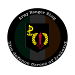 The Irish army ranger wing