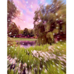 *+Faery Floret+*