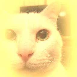 uncanny shooter