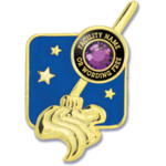 Robine Janitors