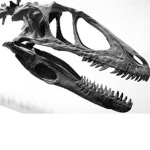 A World With Dinosaurs
