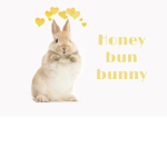 Honey bun bunny