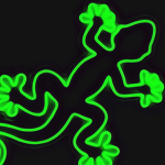 Gecko Gaming Community