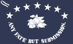 3. Florida Infantry Regiment. Group Thumbnail