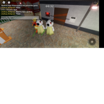 pandy plays