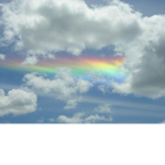 The Friendly Rainbows