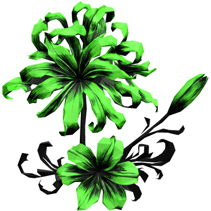 ヒガンバナ bright green spider lily hair flow