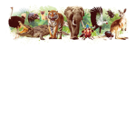Animal group amazing