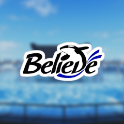 Shamu Stadium: Believe icon