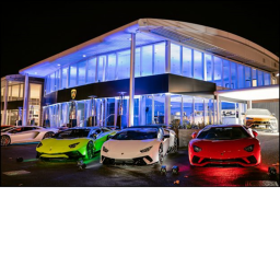 GUCCI DOGS car delership