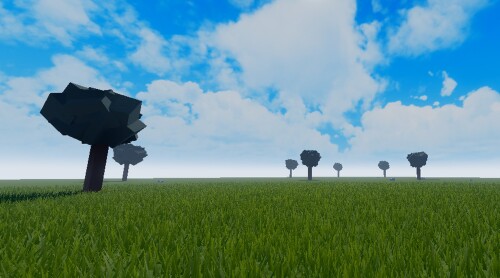 Nature Walk