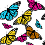 Beautiful Butterfly's