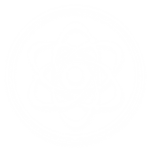 Borealis Technology Inc.