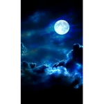 MoonLight Association