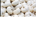 Pumpkin boys group