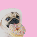 The pugtastic fangroup