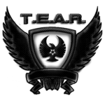 Tactical Engagement Assault Recon