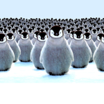 THE REAL PENGUIN ARMY