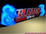 Bleach fan group 2