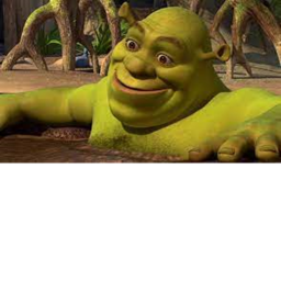 Survival The Shrek The Killer