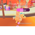 Hello come in to win