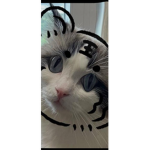 gdfffhdre